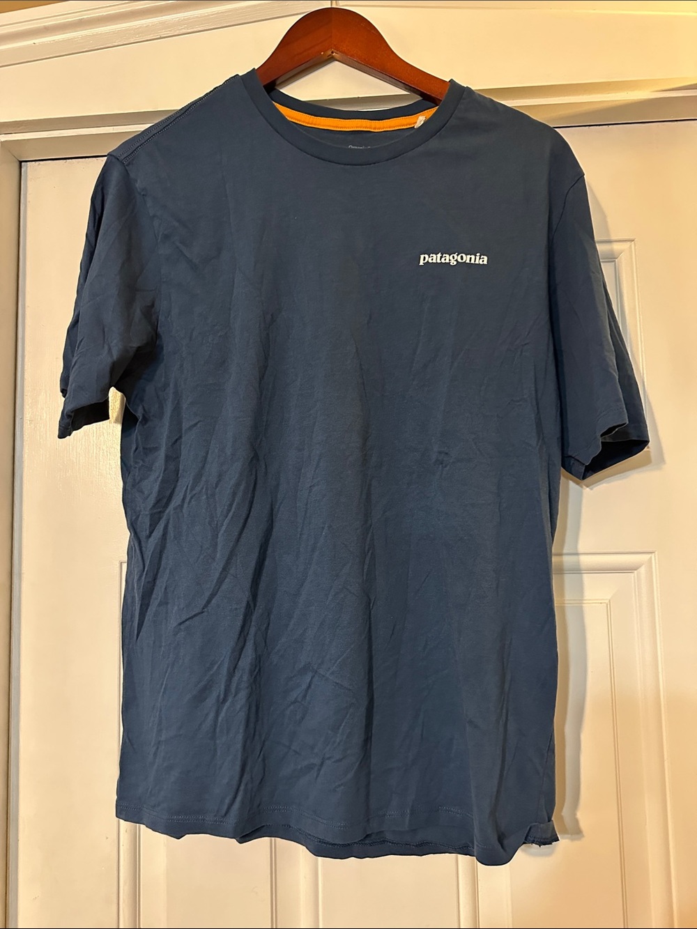 Patagonia Short Sleeve Crew T-Shirt in Slate Blue